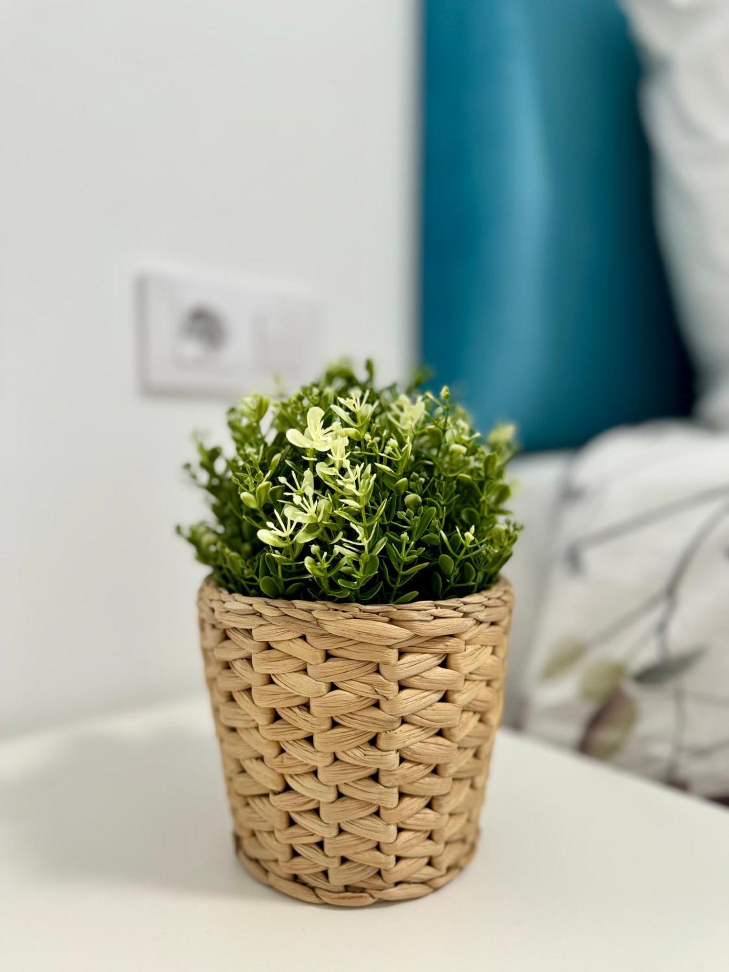 Apartamento Centrico Vigo Luaran gambar